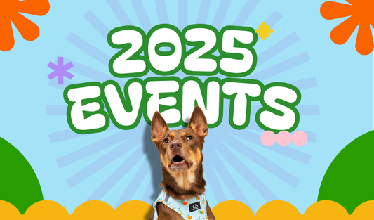 2025 Events!