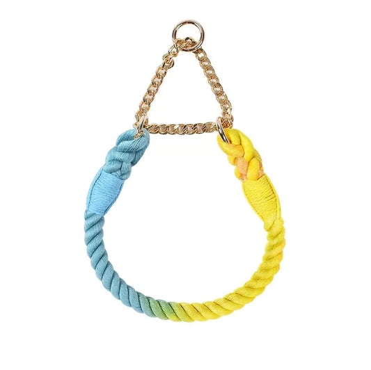 Martingale Rope Training Collar with Gold Chain