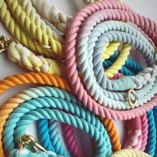 Bubblegum Series - Multiway Handsfree Training Rope Leash