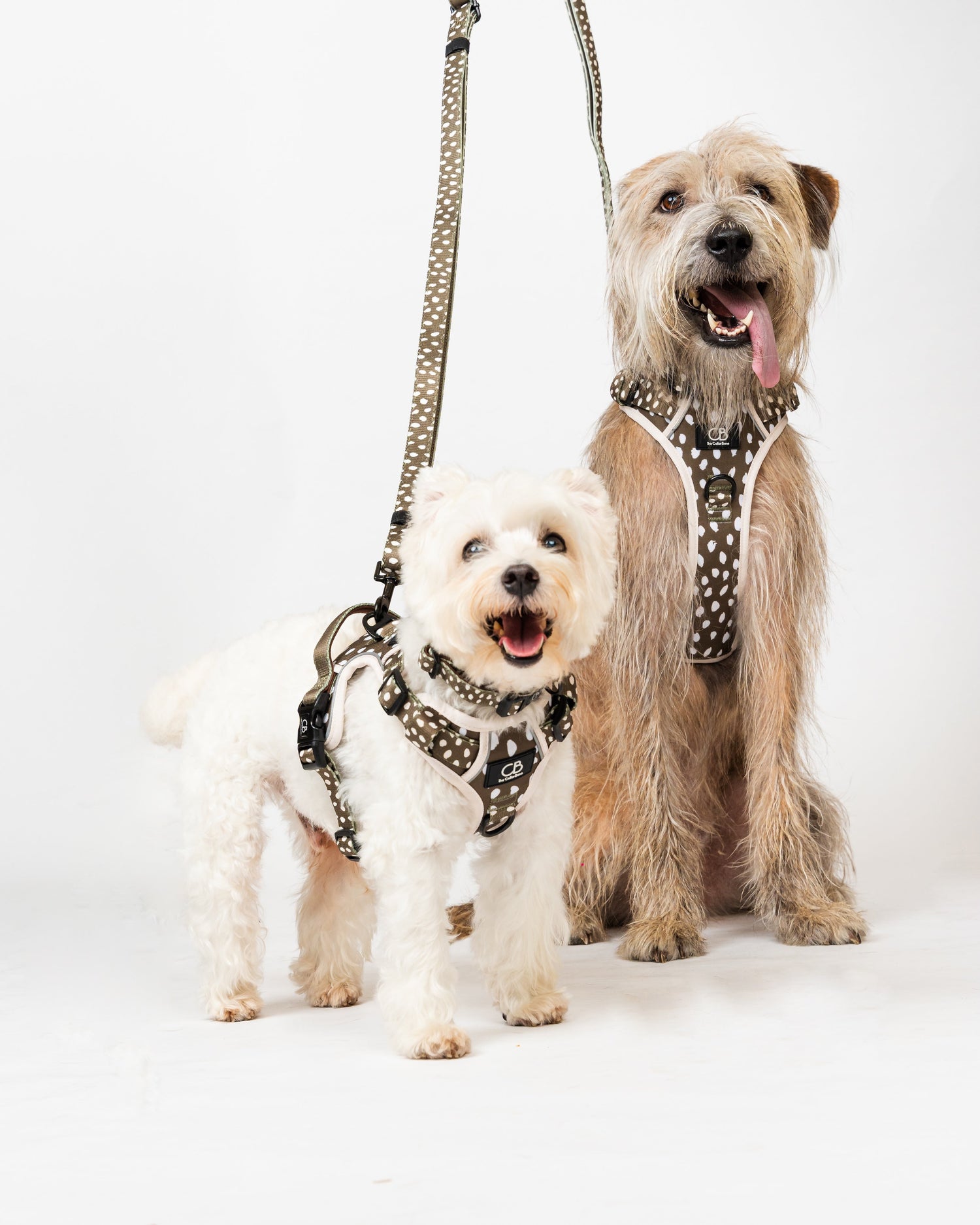 Dog Harness