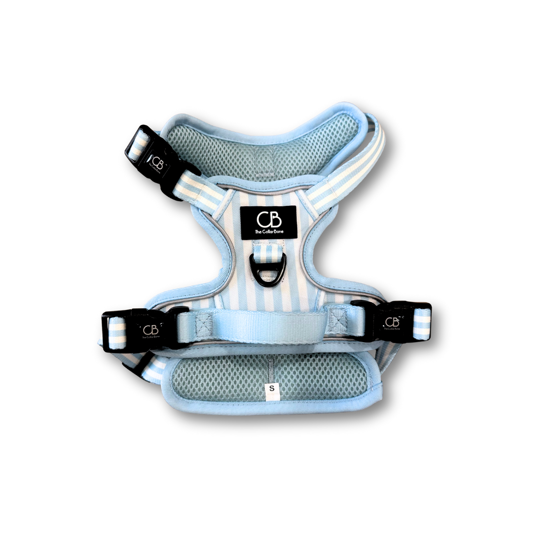 Oxford Active No-Pull Harness in Coastal Blue (Stripes)