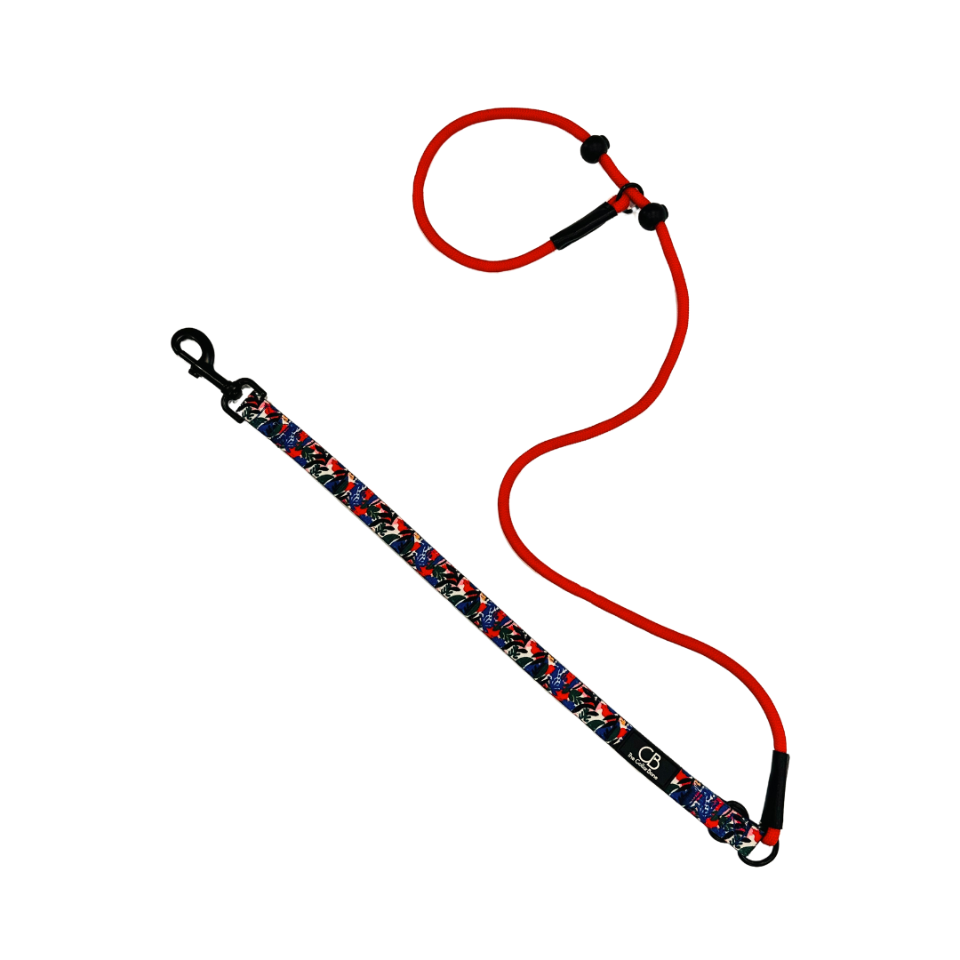 Paxton P-Leash in Mirage