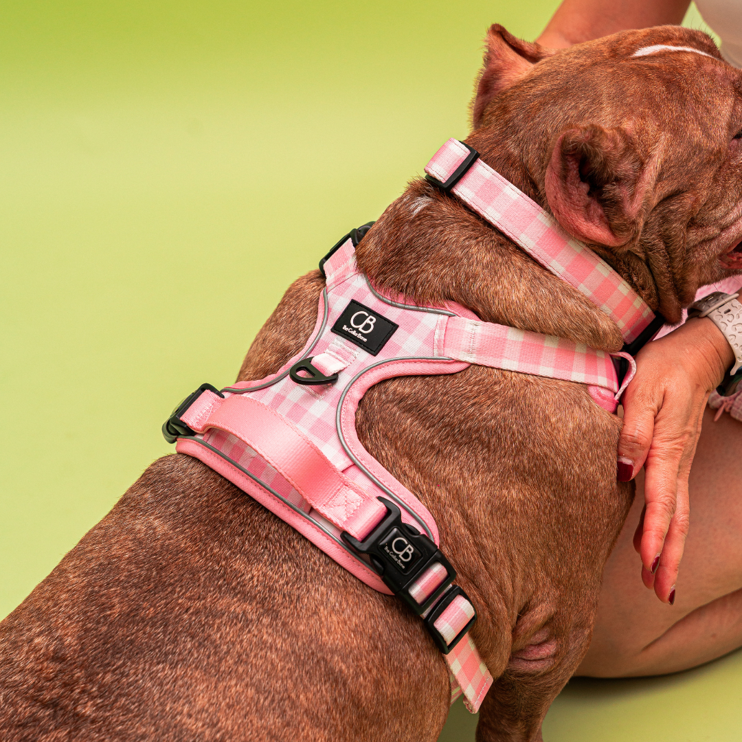 Oxford Active No-Pull Harness in Penelope Pink (Gingham)