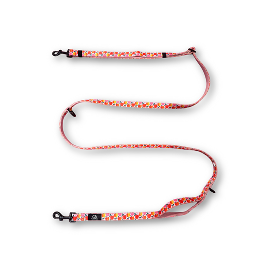 Brighton Multiway Handsfree Leash in Apple of My Eye