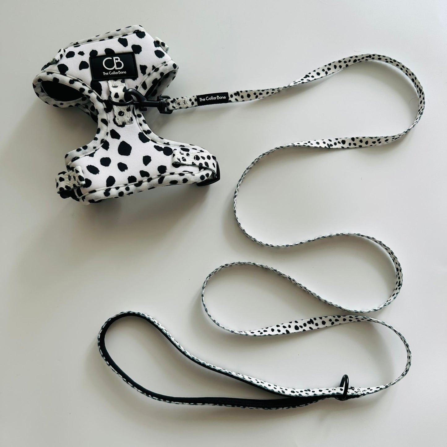 Teeny back-to-basic Leash in Dalmatian