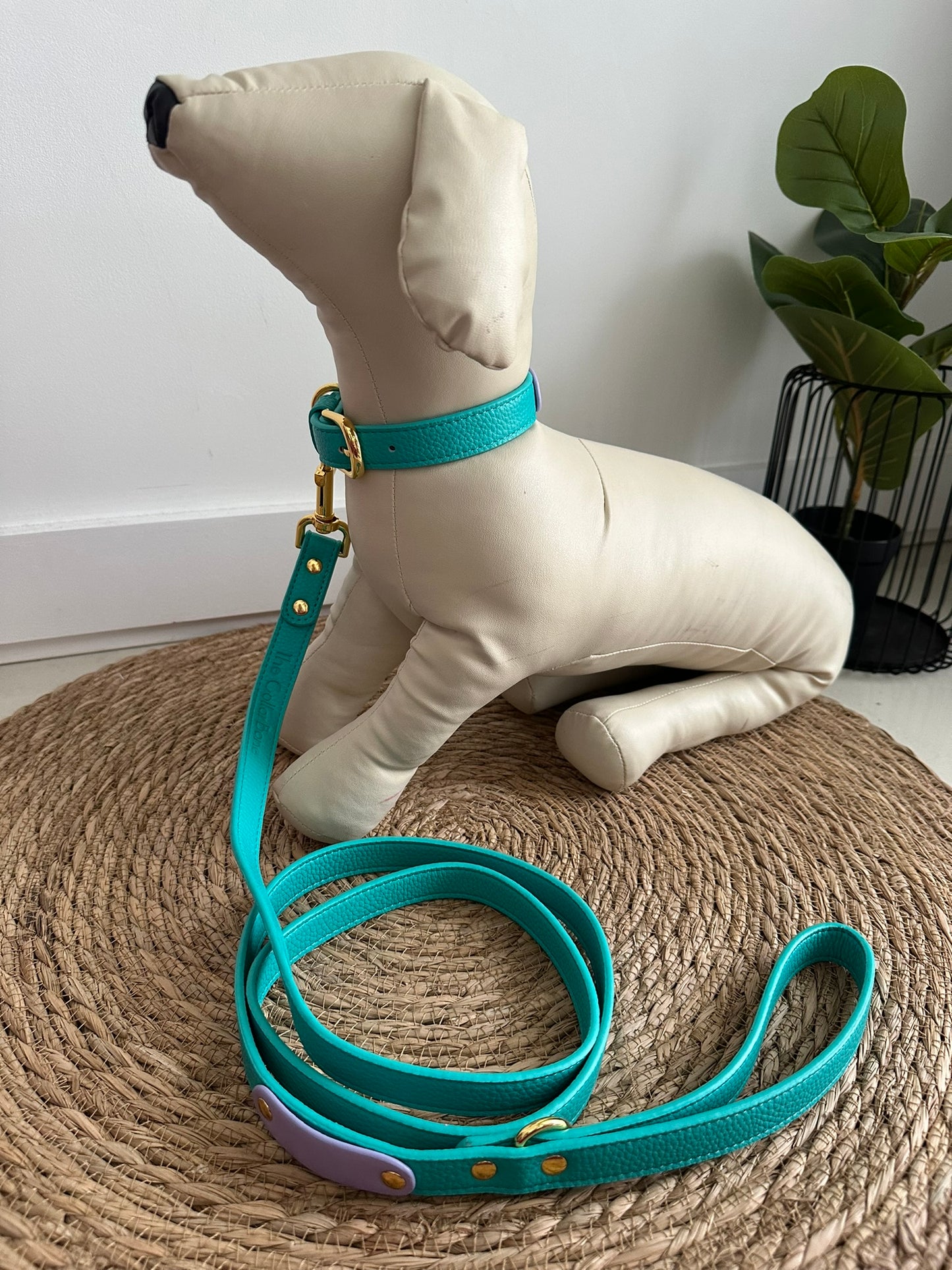 Zuri Faux Leather Cat/Dog Leash in Turquoise