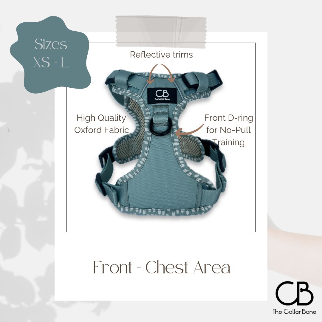 Oxford Active No-Pull Harness in Sage Green