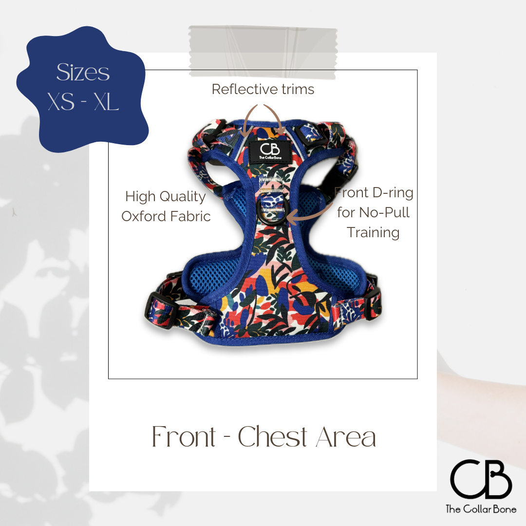 Oxford Active No-Pull Harness in Mirage