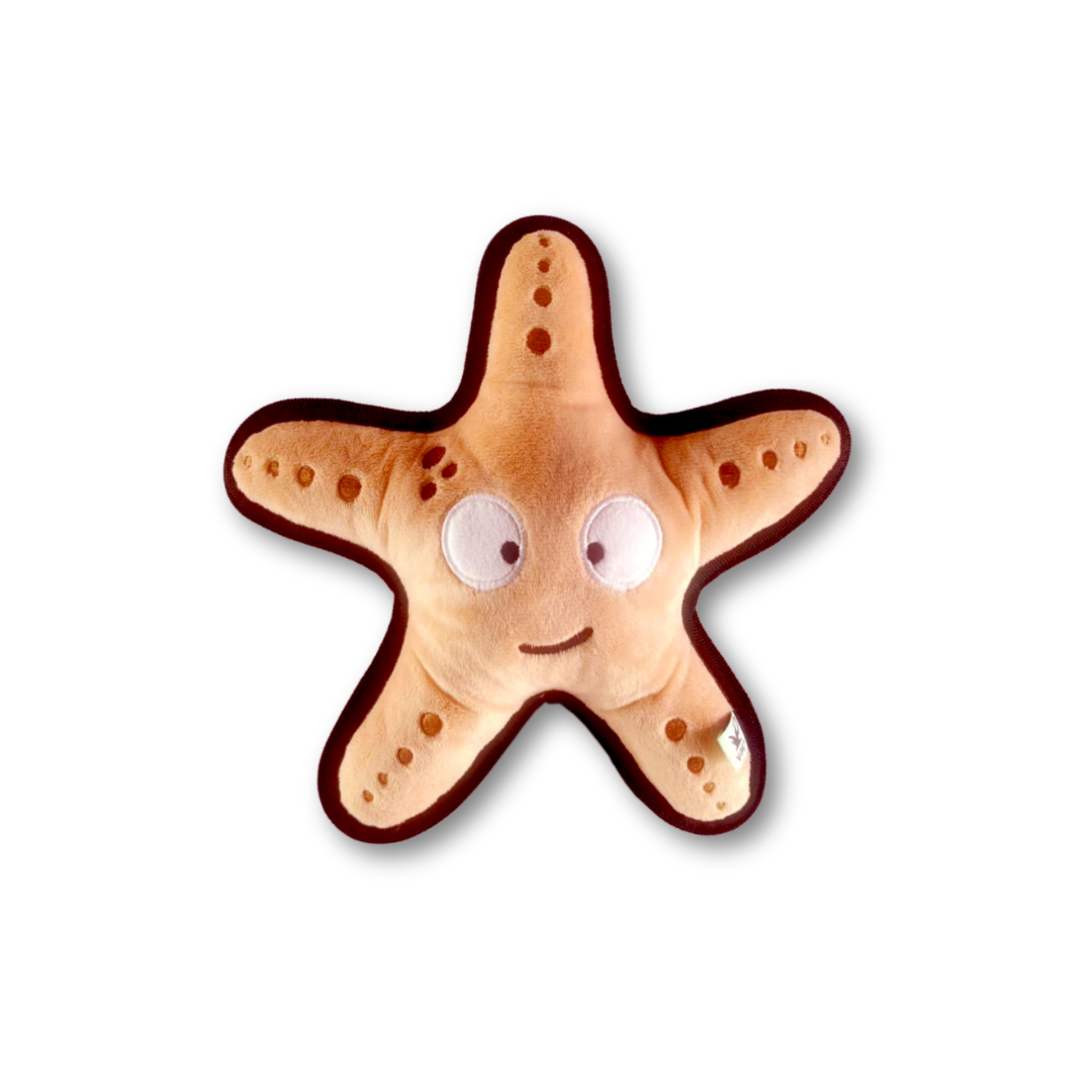 V-Pet Rough & Tough Wave Warriors Collection - Starfish