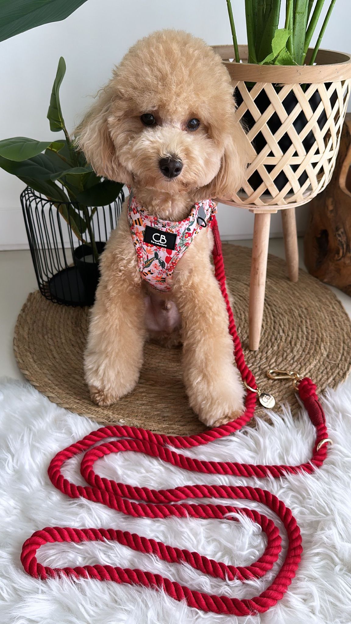 Teeny Step-In Vest/Harness in Busy Bee