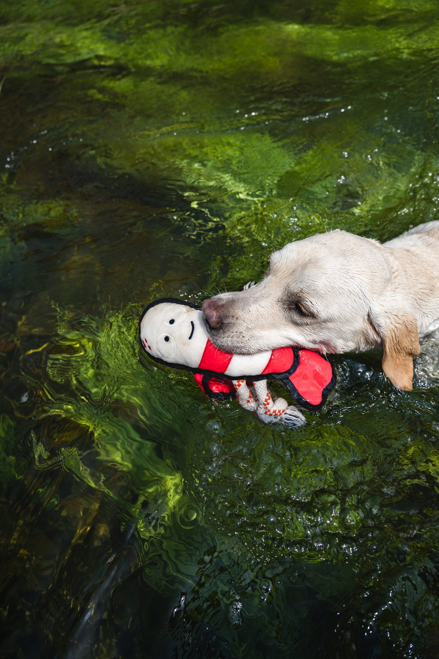 V-Pet Rough & Tough Wave Warriors Collection - Lobster