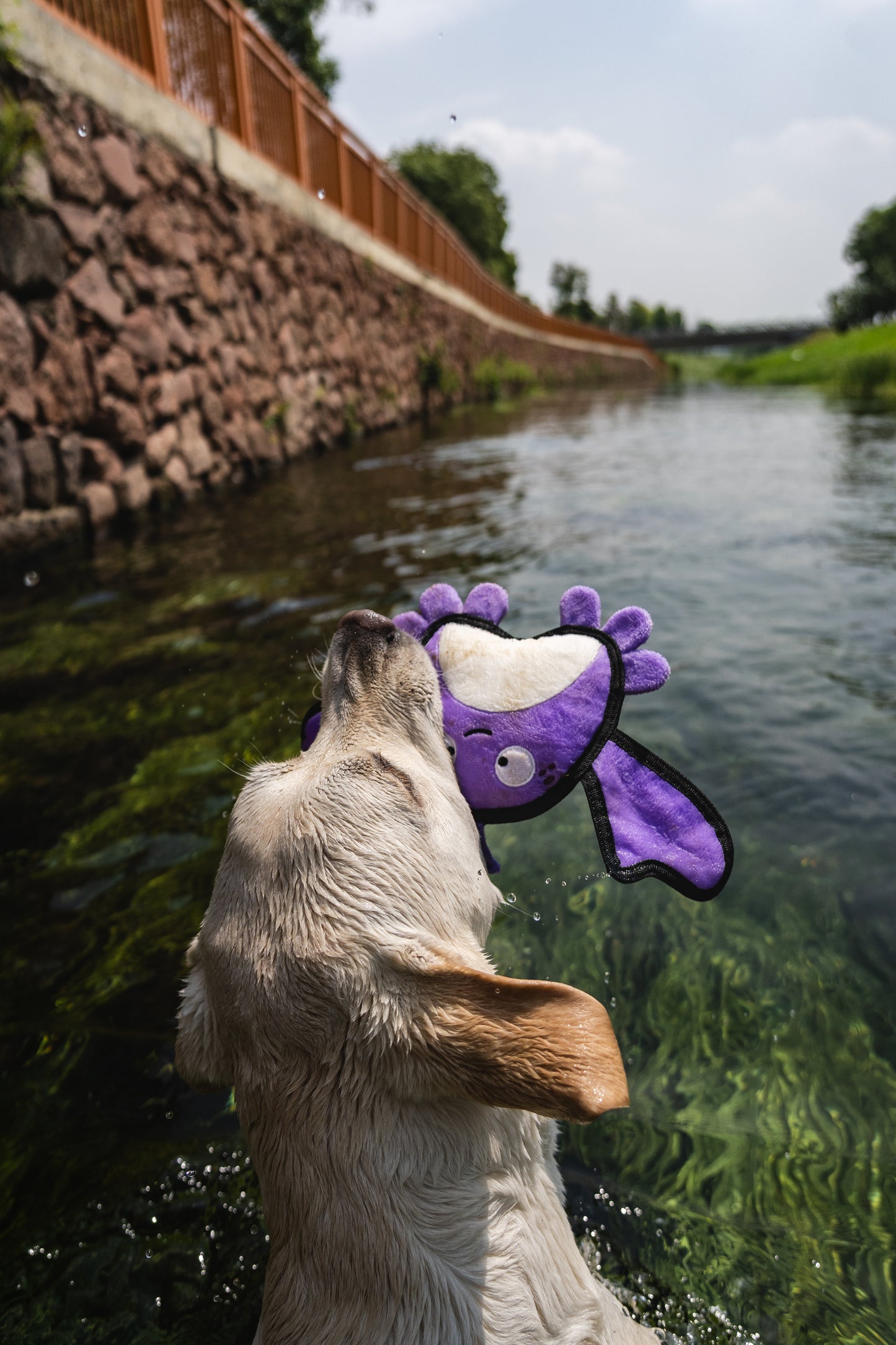 V-Pet Rough & Tough Wave Warriors Collection - Crab