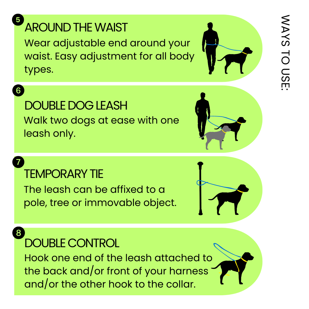 Brighton Multiway Handsfree Leash in Solid Black