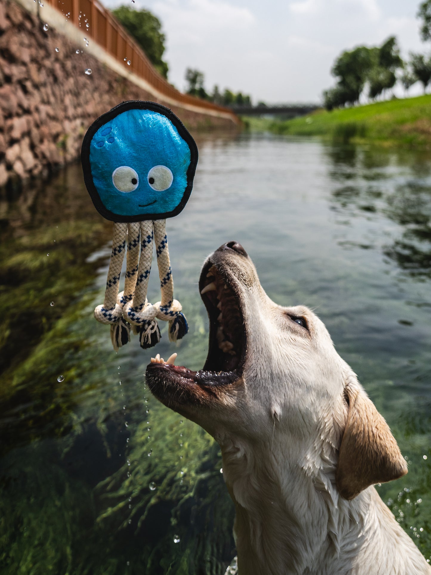 V-Pet Rough & Tough Wave Warriors Collection - Octopus