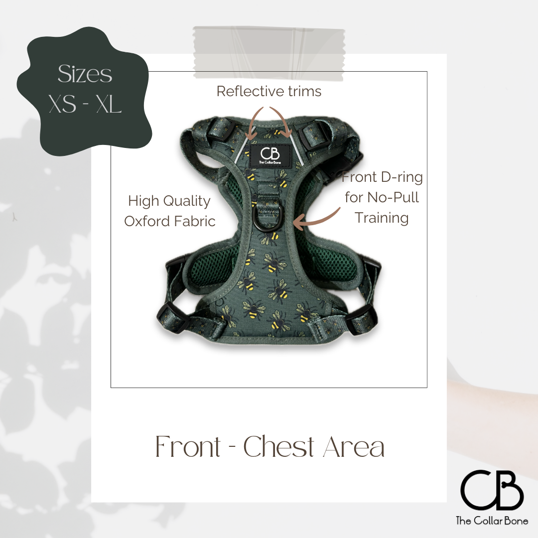 Oxford Active No-Pull Harness in Forest Bee
