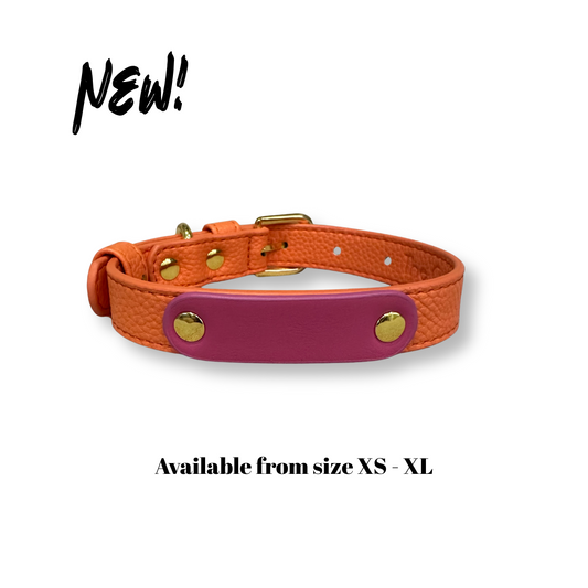 Zuri Faux Leather Cat/Dog Collar in Papaya Orange