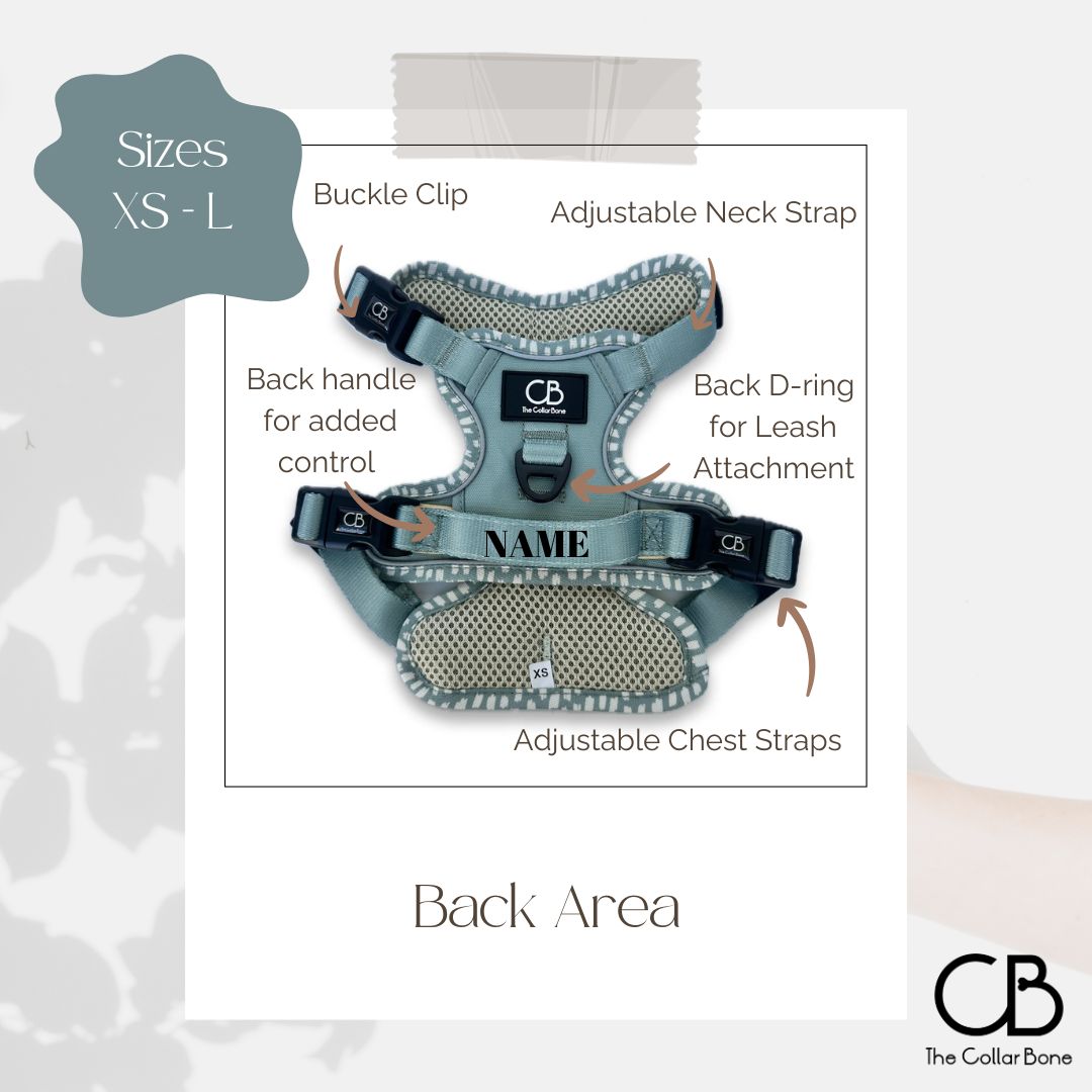 Oxford Active No-Pull Harness in Sage Green