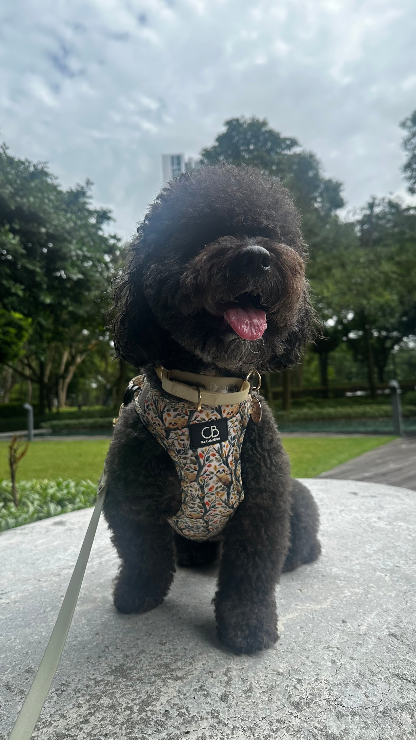 Teeny Step-In Vest/Harness in Sluggish Sloth