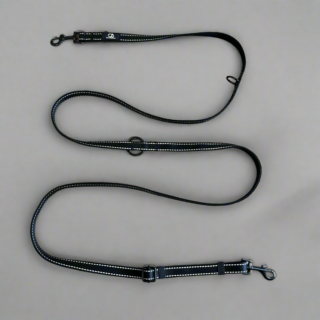 Brighton Multiway Handsfree Leash with Reflective Stitch in Black