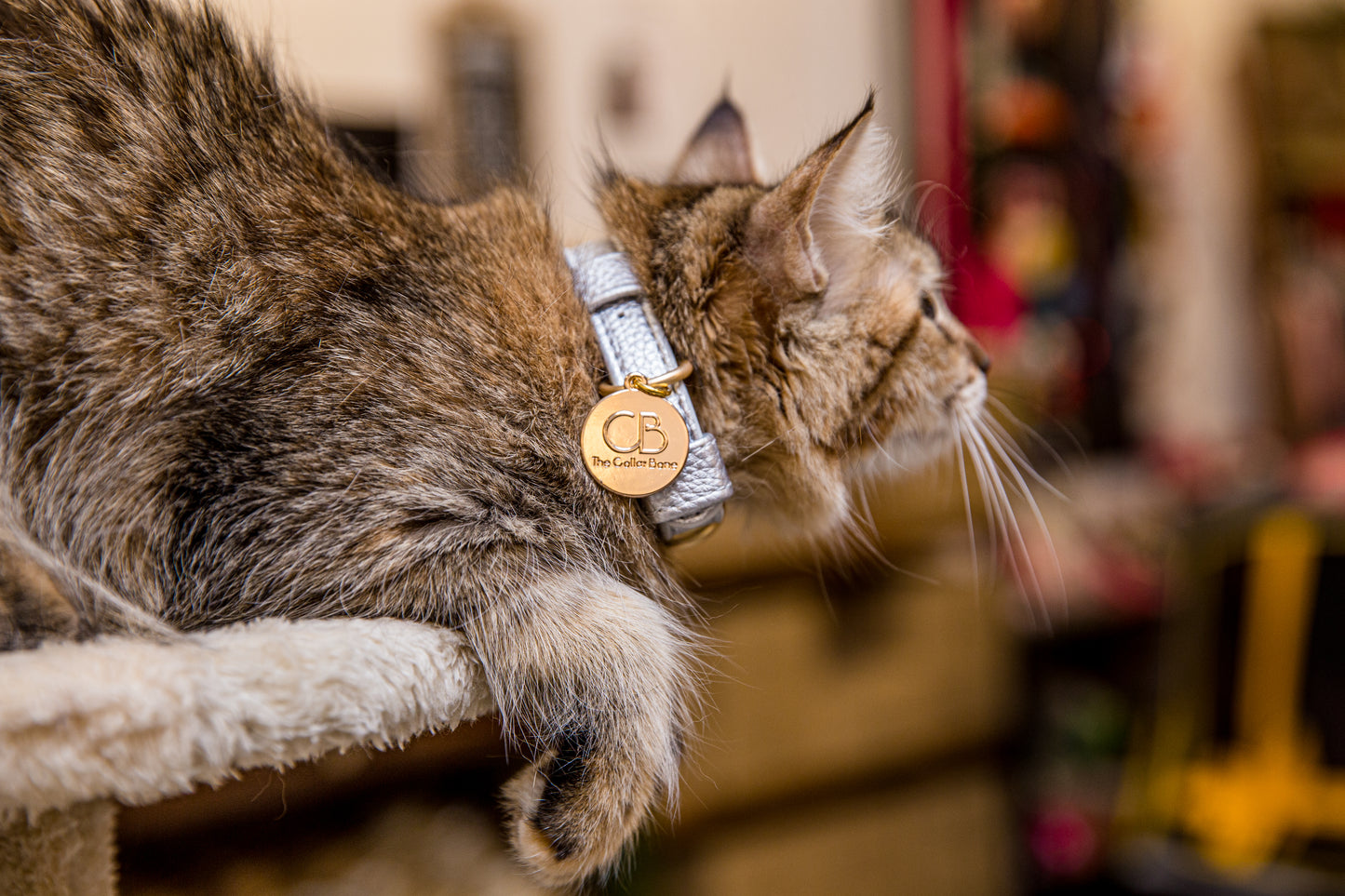 Zaara Vegan Leather Cat/Dog Collar in Shimmering Silver