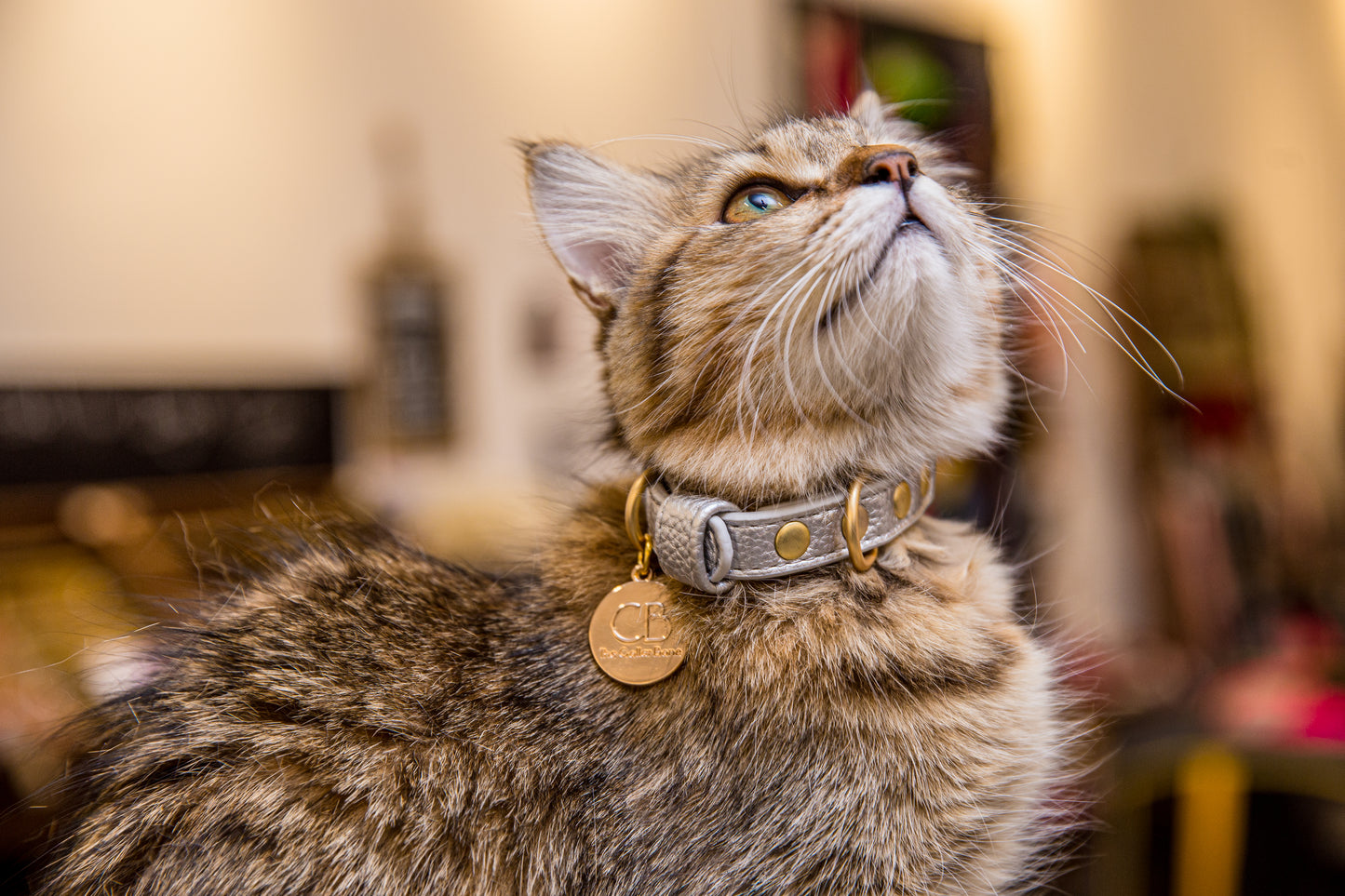 Zaara Vegan Leather Cat/Dog Collar in Shimmering Silver