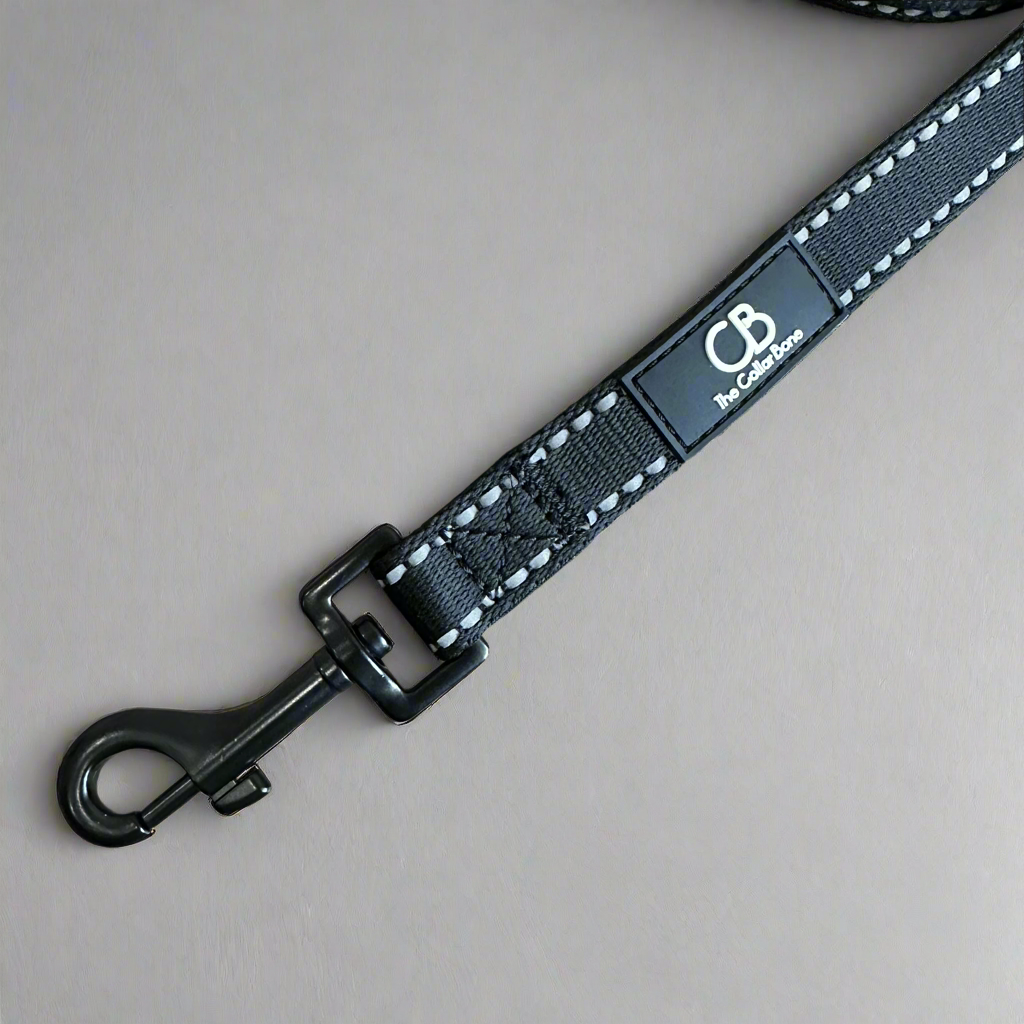 Brighton Multiway Handsfree Leash with Reflective Stitch in Black