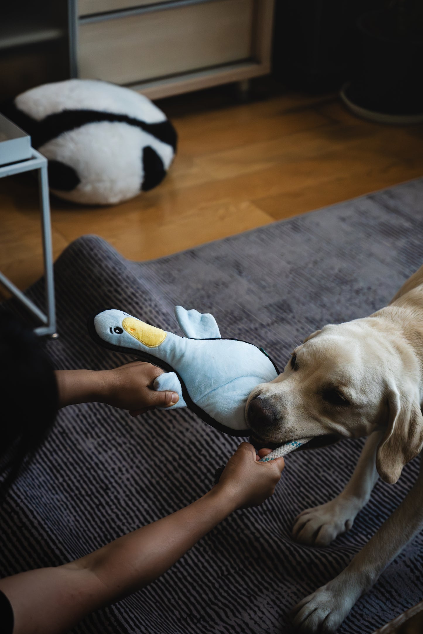 V-Pet Rough & Tough Welcome to the Farm Collection - Duck