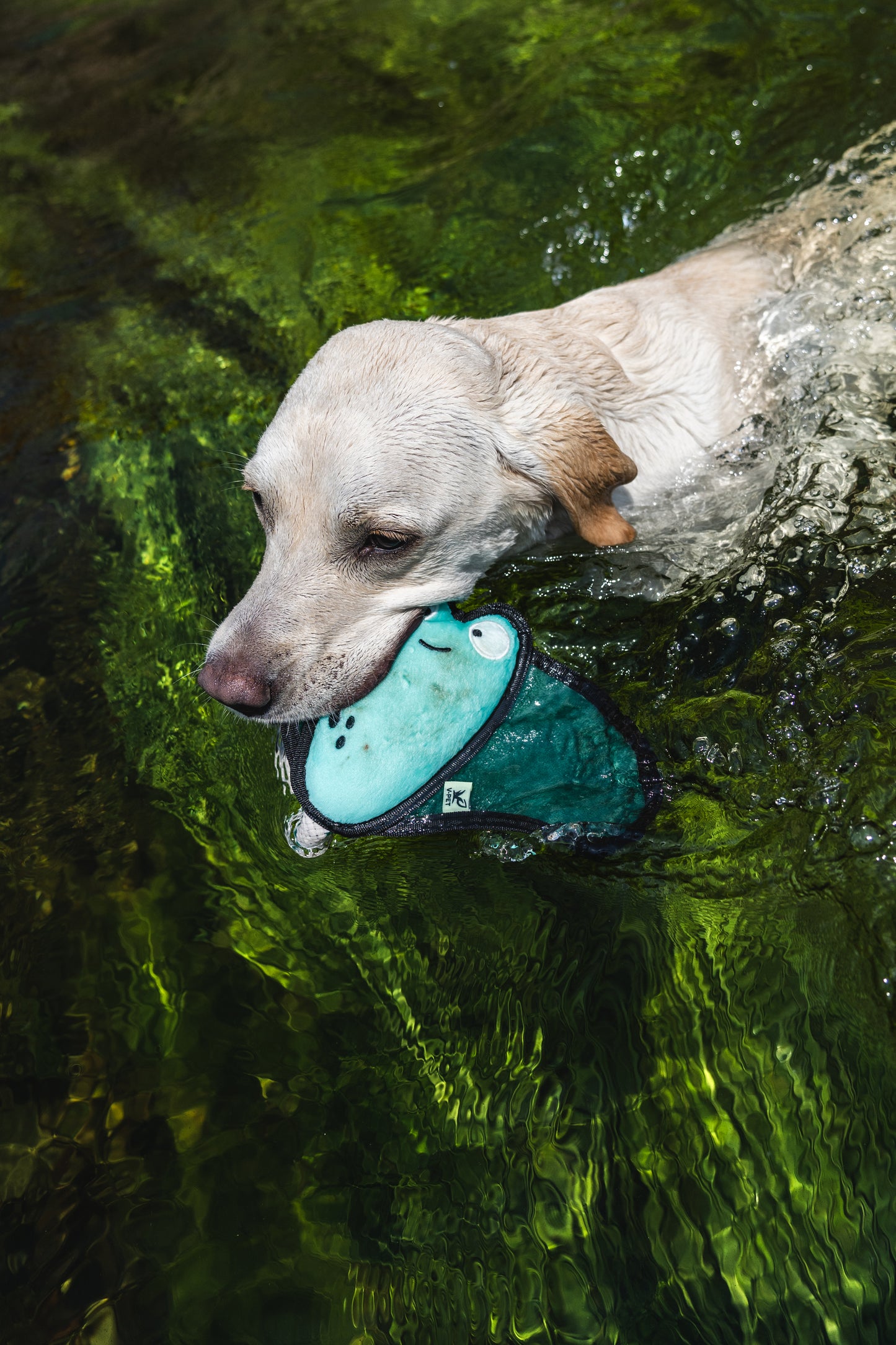 V-Pet Rough & Tough Wave Warriors Collection - Manta