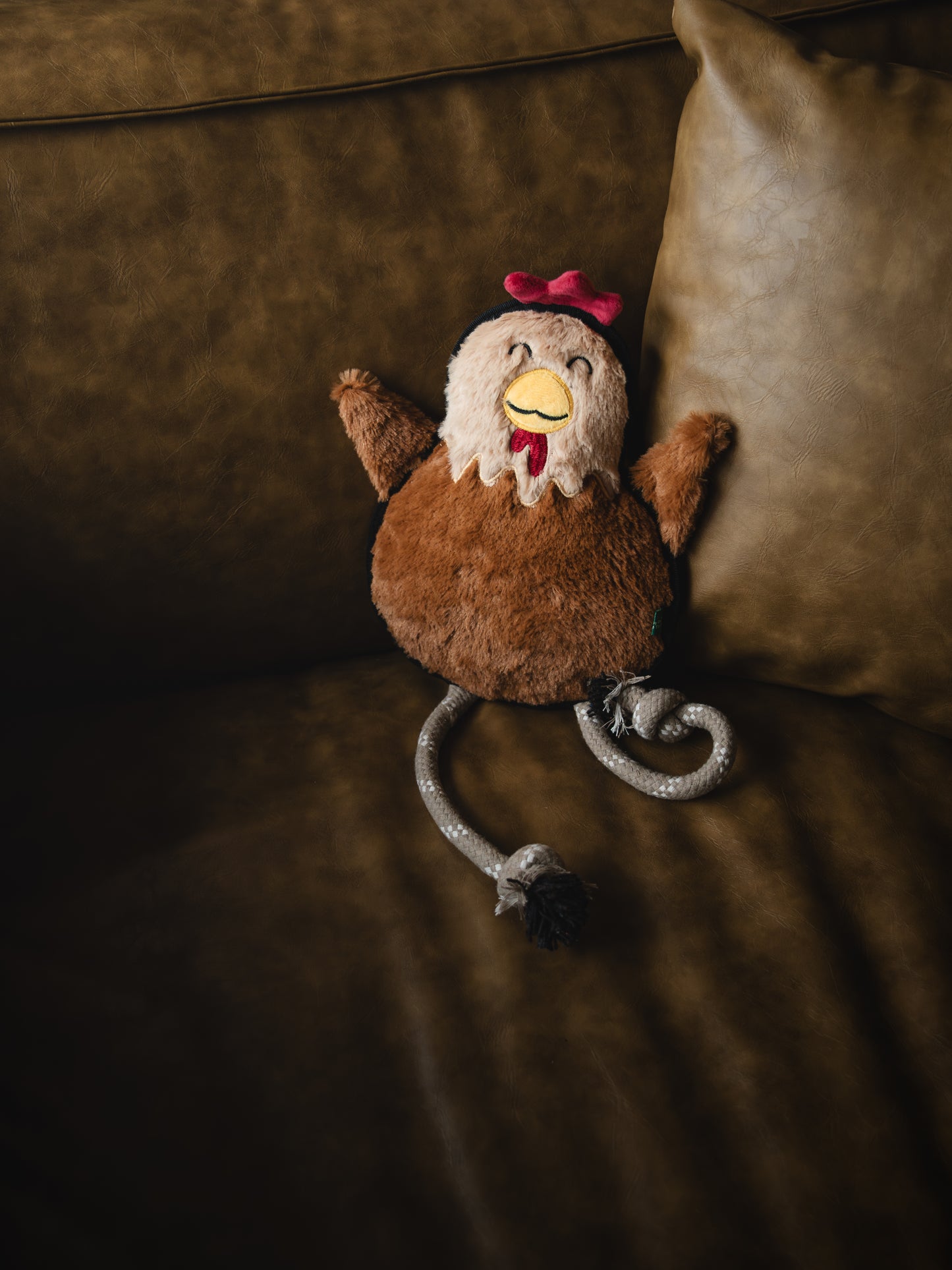 V-Pet Rough & Tough Welcome to the Farm Collection - Hen