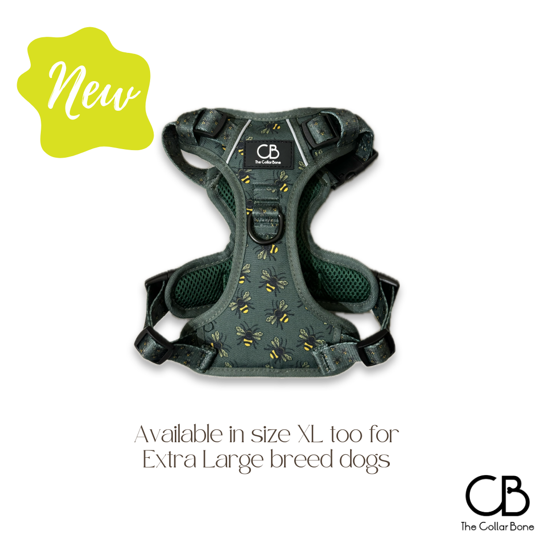 Oxford Active No-Pull Harness in Forest Bee