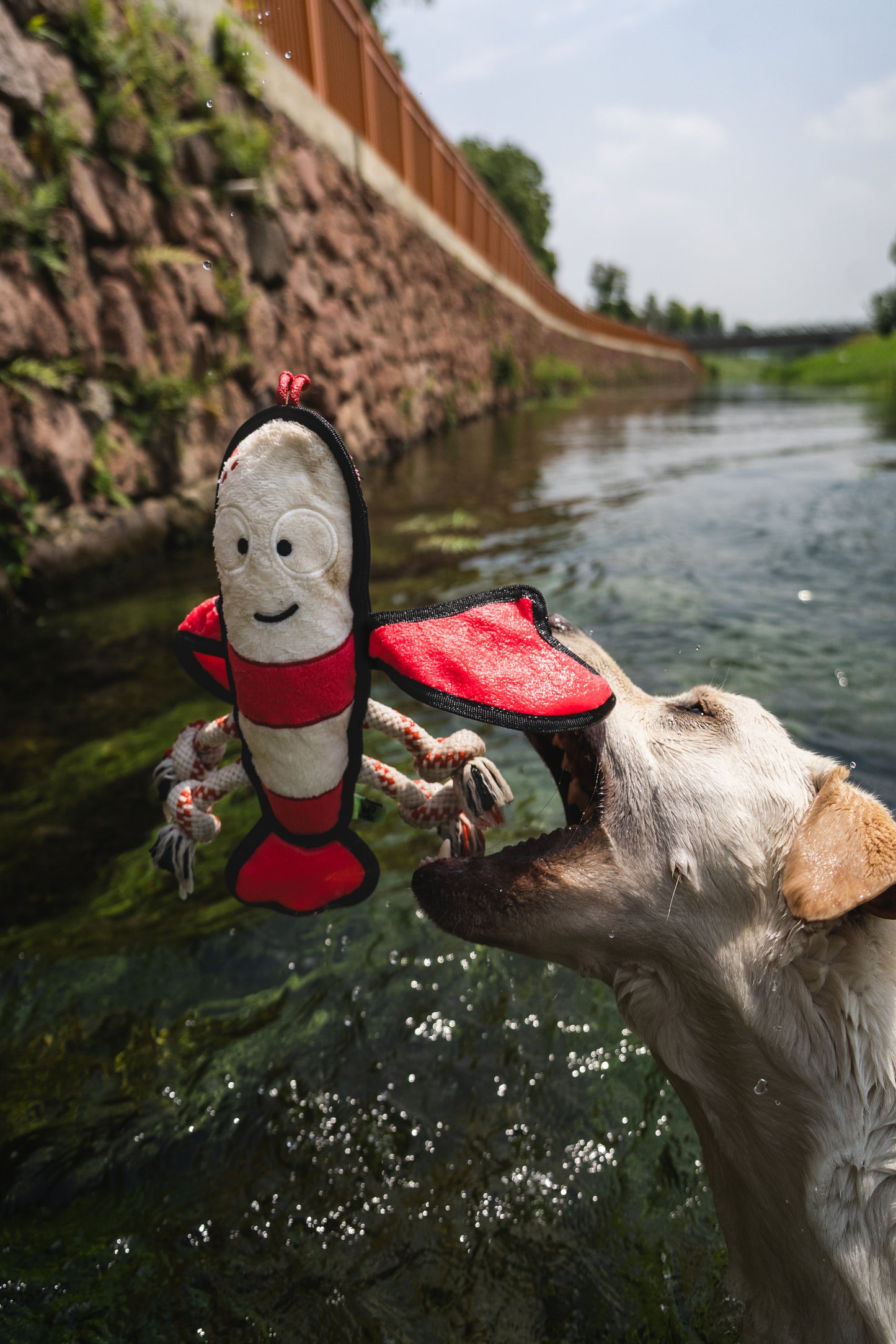 V-Pet Rough & Tough Wave Warriors Collection - Lobster