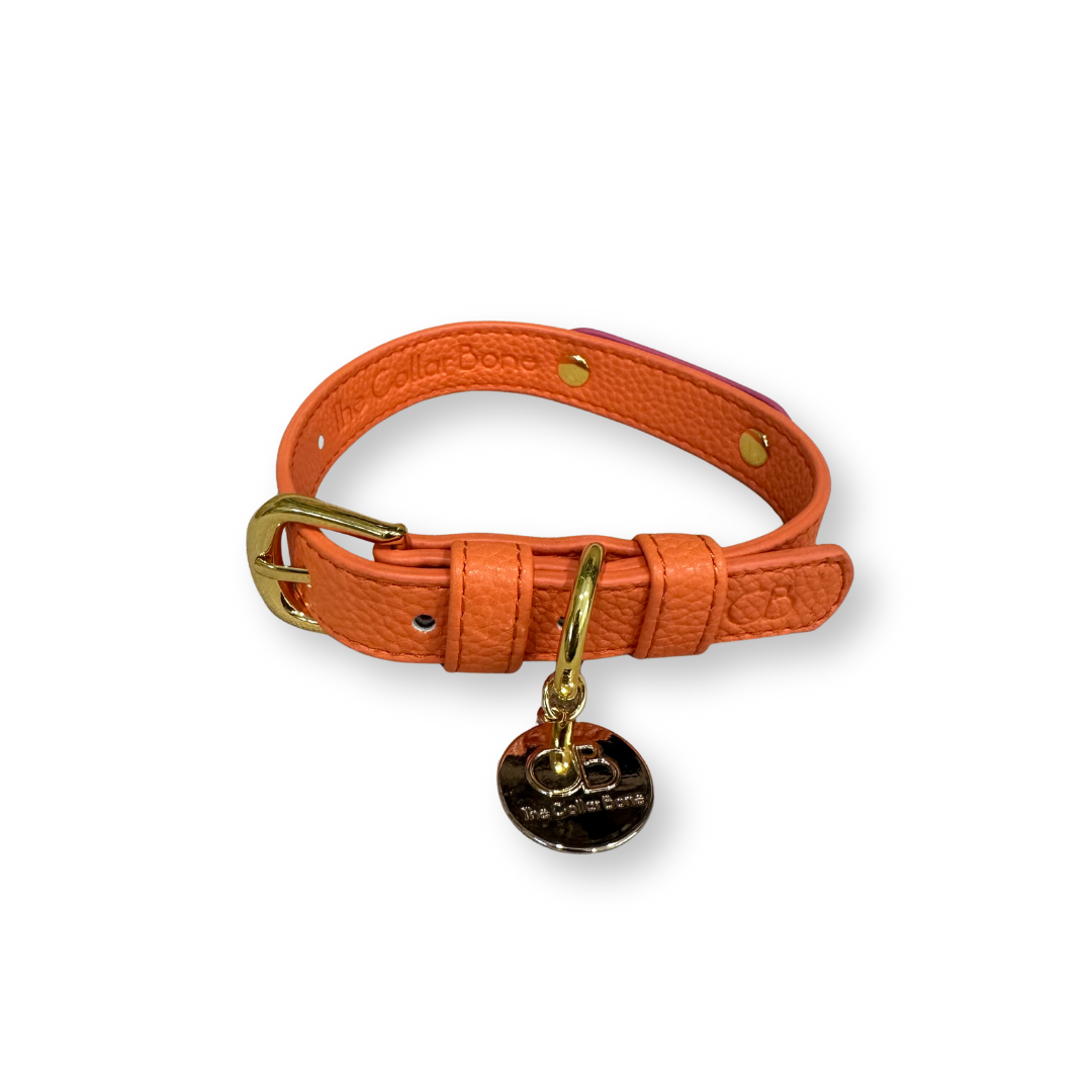 Zuri Faux Leather Cat/Dog Collar in Papaya Orange