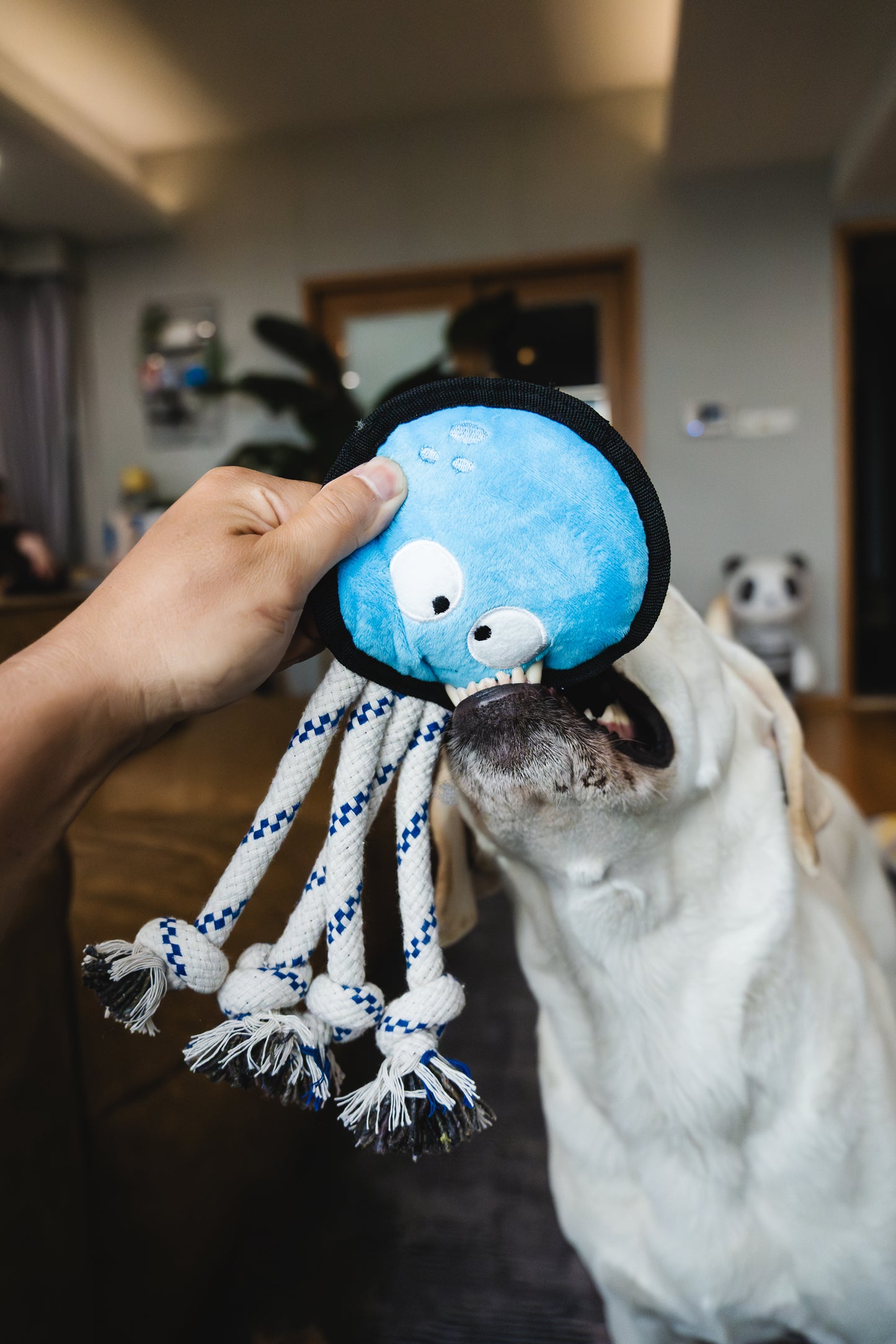 V-Pet Rough & Tough Wave Warriors Collection - Octopus
