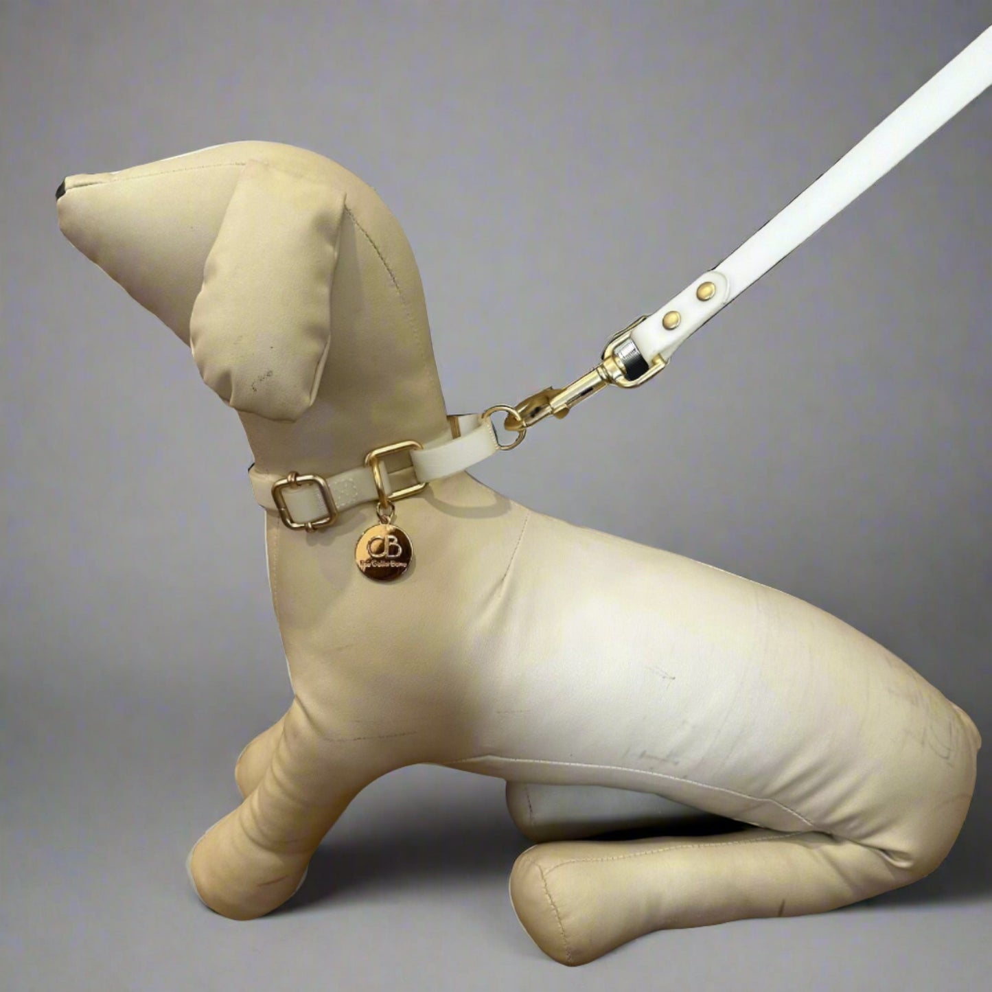 Oceane Waterproof Martingale Collar in Ivory White/Glow in the Dark