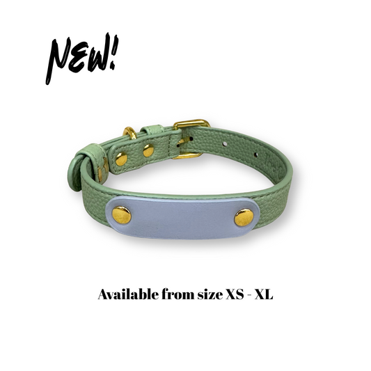 Zuri Faux Leather Cat/Dog Collar in Sage Green