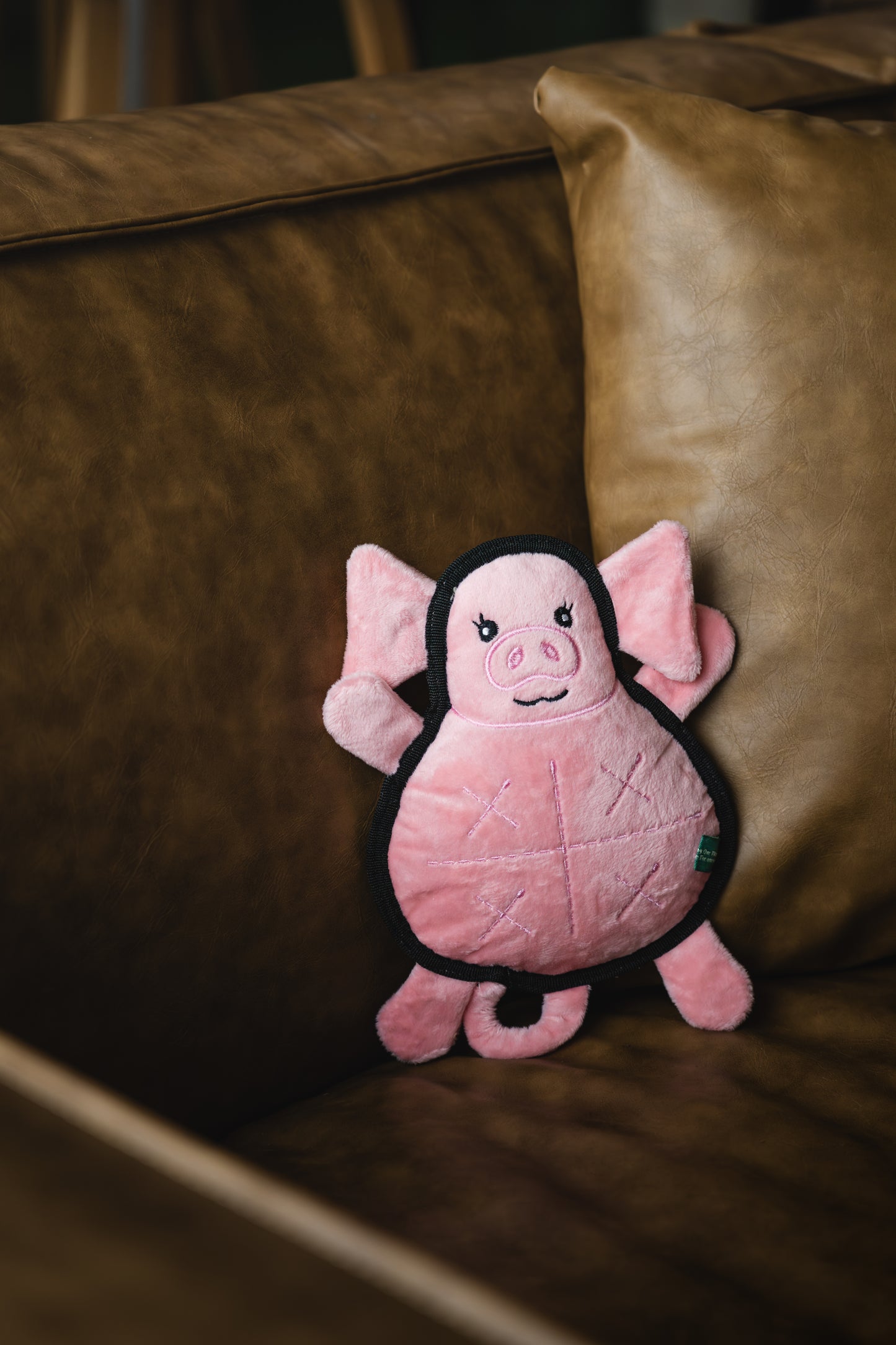V-Pet Rough & Tough Welcome to the Farm Collection - Pig