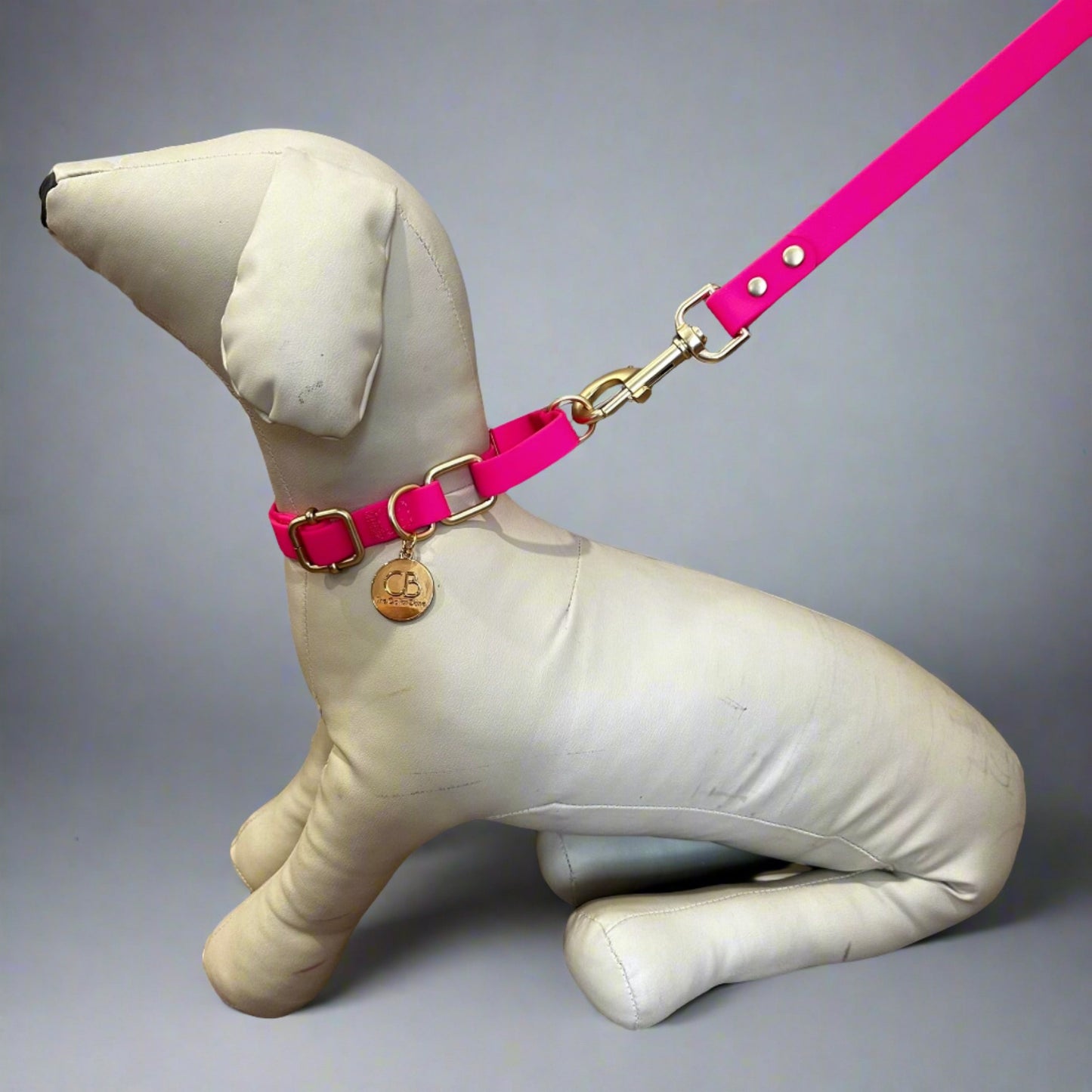 Oceane Waterproof Martingale Collar in Neon Pink