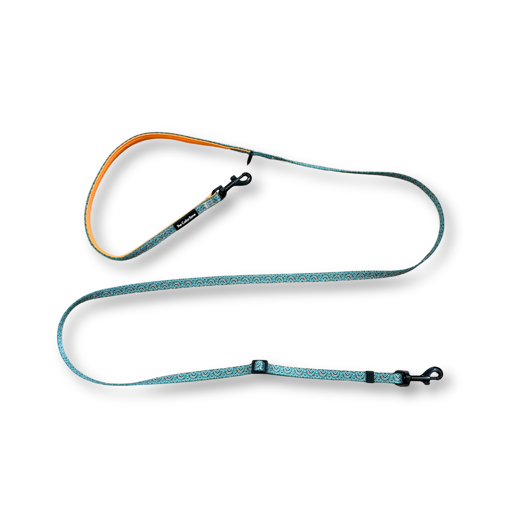 Teeny back-to-basic Leash in Goldfish Glade