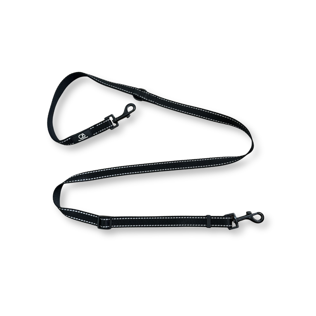Classic Leash in Black with Reflective Stitching