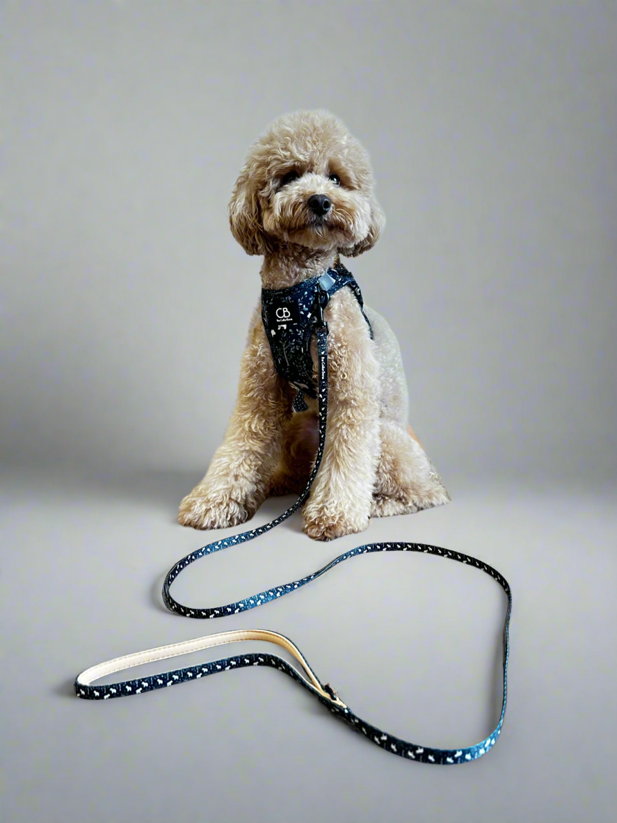 Teeny back-to-basic Leash in Brisk Bear