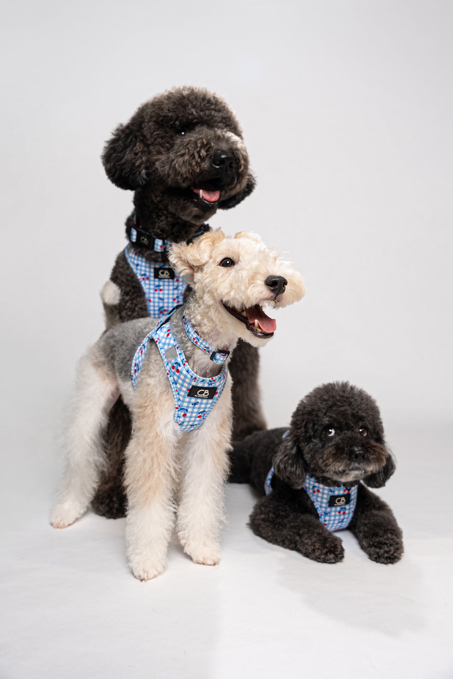Halston Adjustable Pet Collar in Cherry Checks