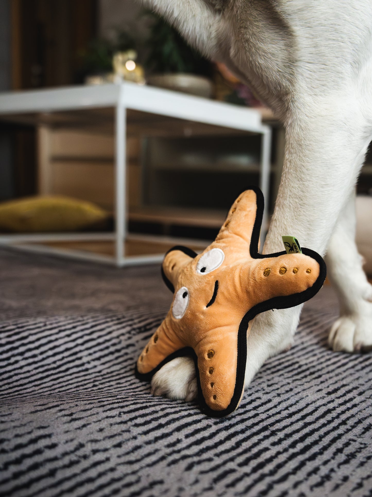V-Pet Rough & Tough Wave Warriors Collection - Starfish