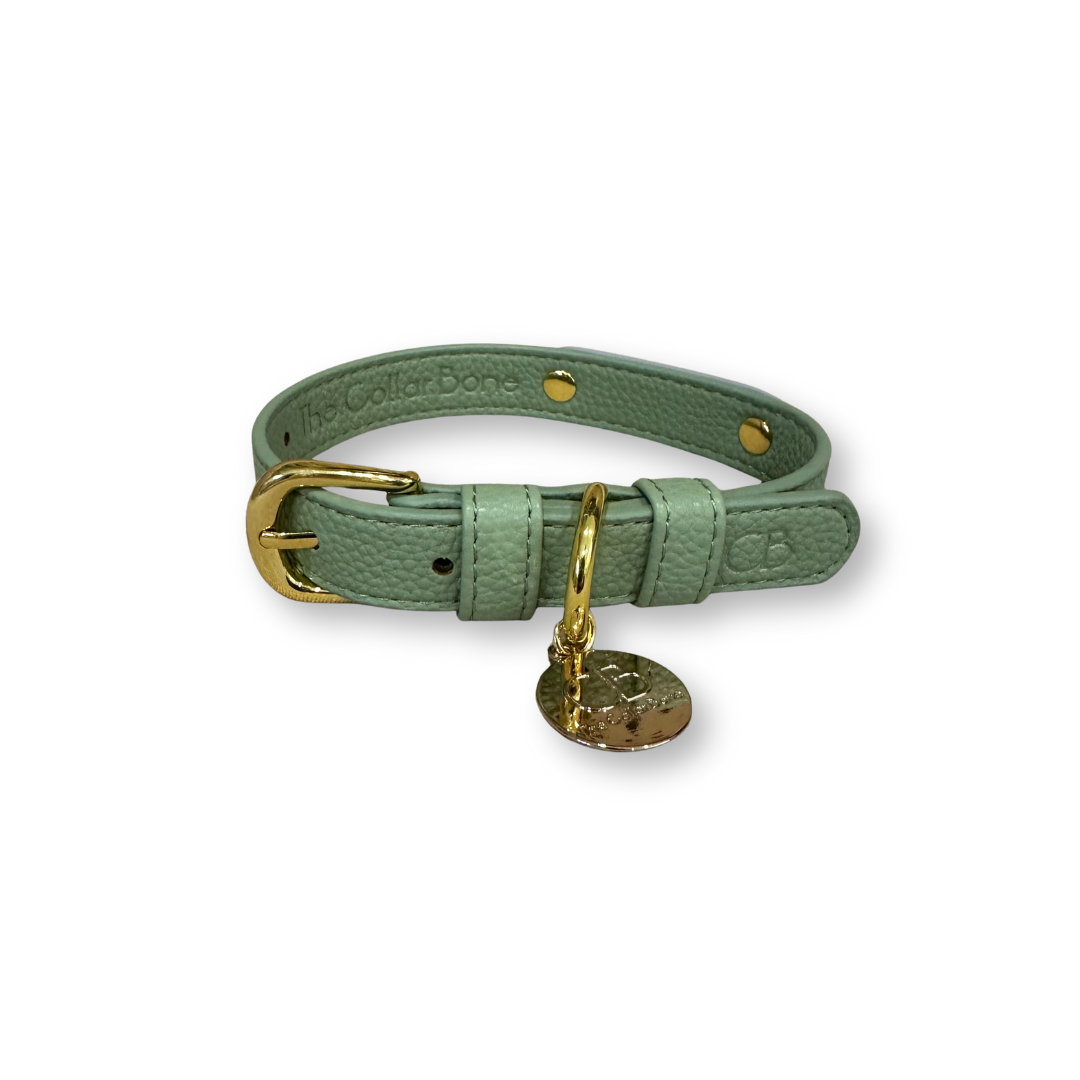 Zuri Faux Leather Cat/Dog Collar in Sage Green
