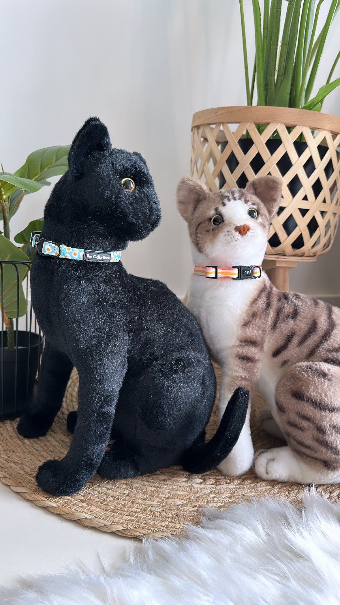 Halston Adjustable Pet Collar in Sunny Side-Up