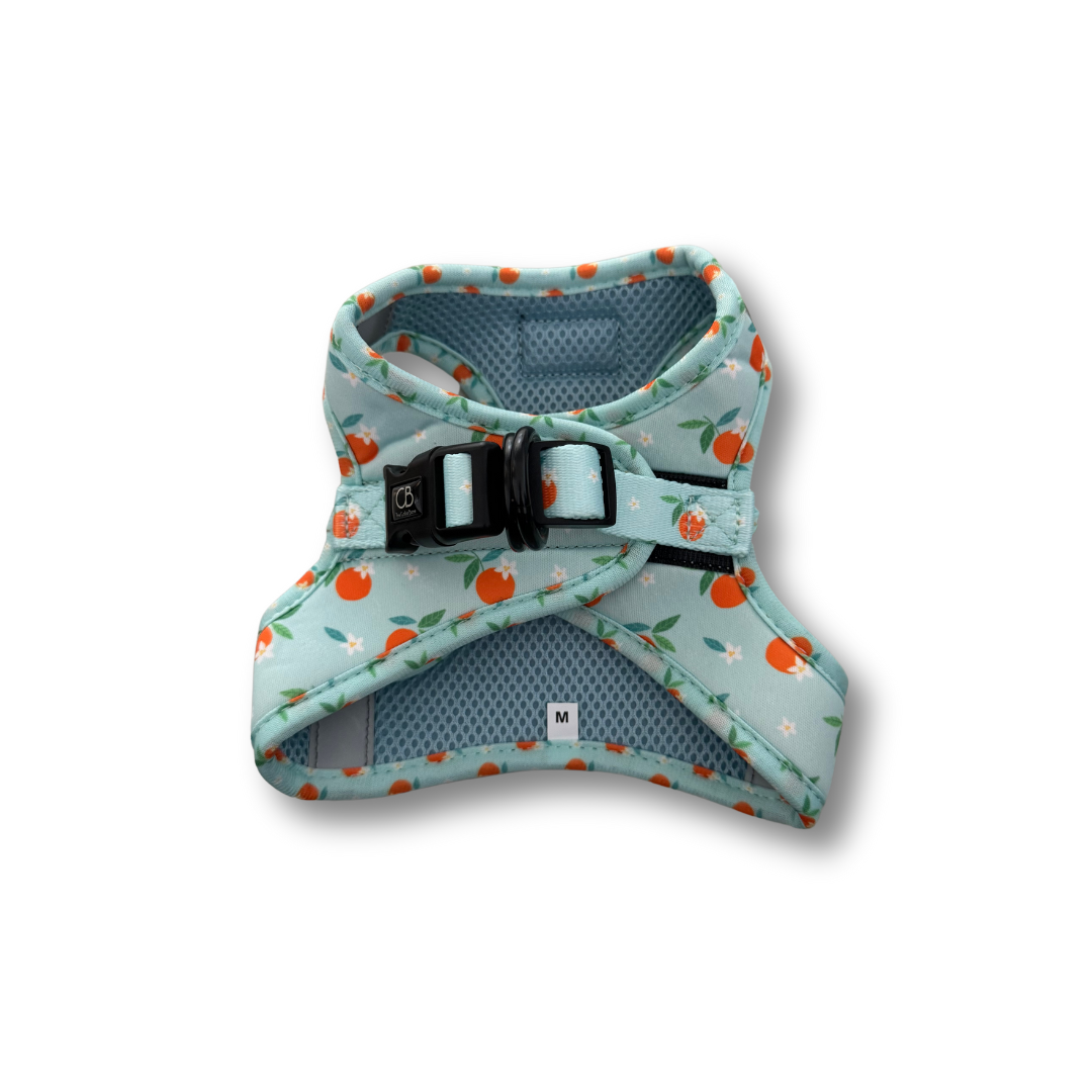 Teeny Step-In Vest/Harness in Clementine Crush