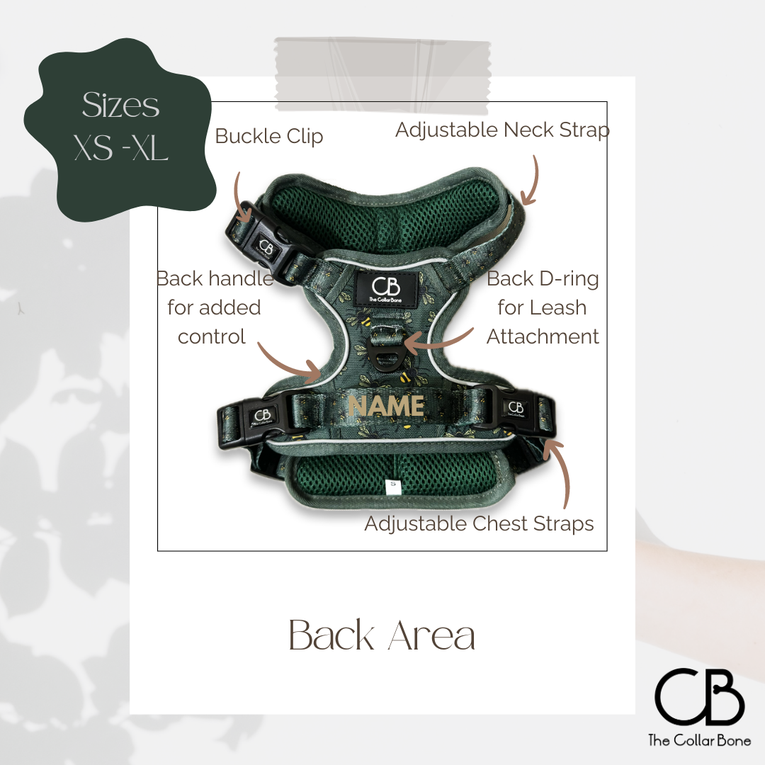 Oxford Active No-Pull Harness in Forest Bee