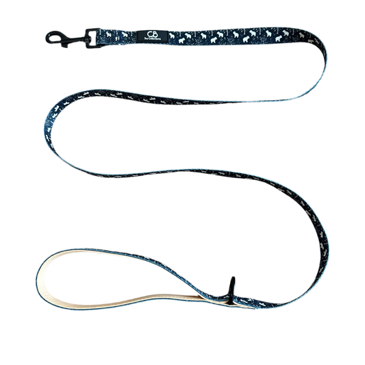 Classic Leash in Brisk Bear
