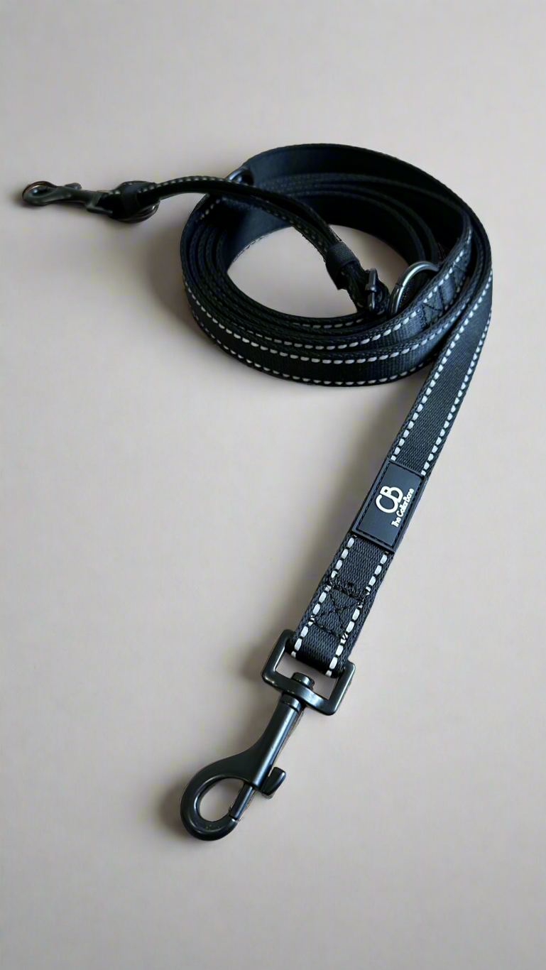 Brighton Multiway Handsfree Leash with Reflective Stitch in Black