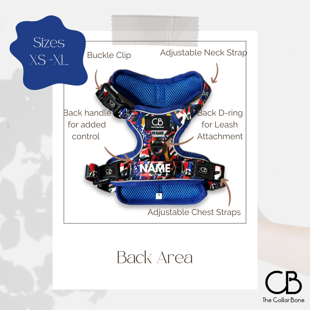 Oxford Active No-Pull Harness in Mirage