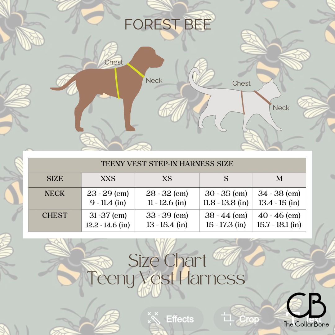 Teeny Step-In Vest/Harness in Forest Bee